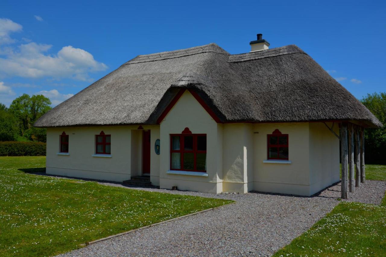 Amber Cottage Кілларні Екстер'єр фото